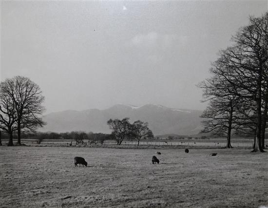 C. Parry - prized photographs (1950s)